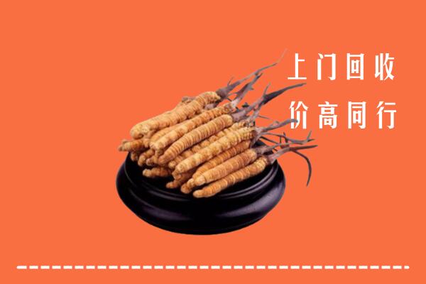 高价求购：武汉江夏回收散虫草