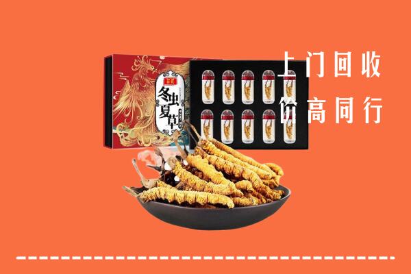 武汉江夏回收虫草